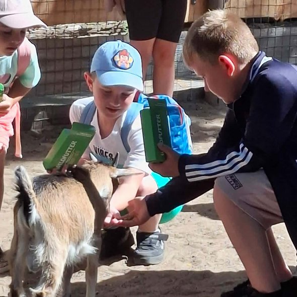 zeigt Kinder, die eine Ziege füttern und streicheln