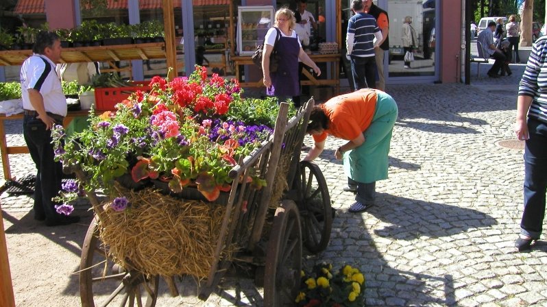 öffnet internen Link in aktuellem Fenster zeigt einen mit Blumen geschmückten Holzhandwagen und Leute drumherum